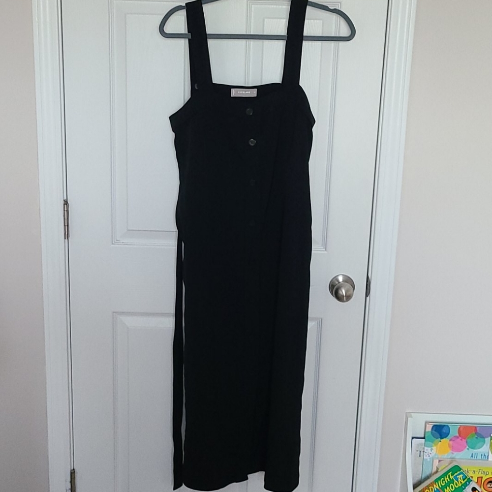 Everlane Japanese GoWeave Picnic Dress